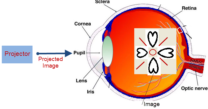 Projecció de la retina
