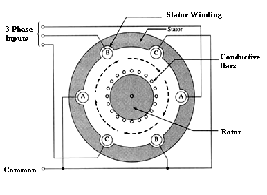 Višefazni indukcijski motor