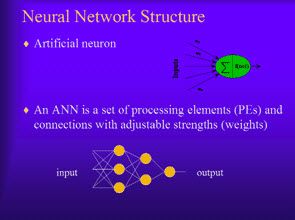 Neuraalvõrgu struktuur