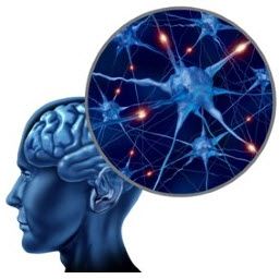 Reti neurali artificiali (ANN) e diversi tipi