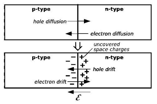 drivstrøm - & - diffusionsstrøm