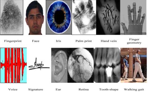 Biometriniai jutikliai - tipai ir jų veikimas