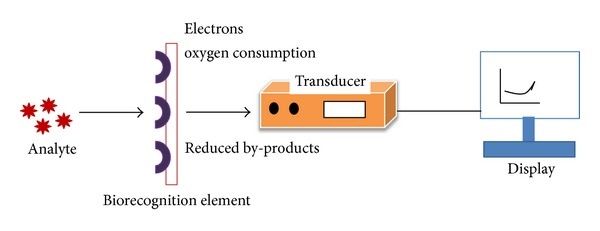 Biosensor Elektrokimia