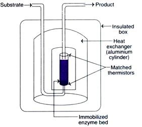 Biosensor termometrik