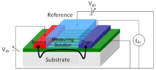 Transistor à effet de champ sensible aux ions - Principe de fonctionnement ISFET