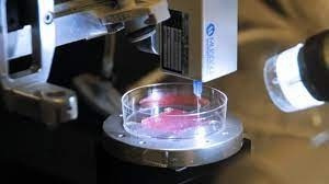   3D bioprint